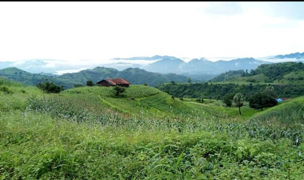Chhota Udepur旅游攻略图片