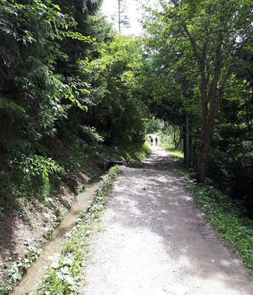 Sentier du bisse du Glacier du Trient-Trient必去景点