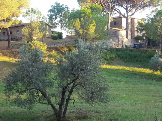 探索Podere Caminino