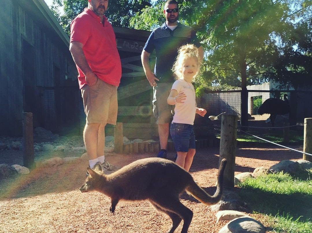 Columbian Park Zoo-拉斐特必去景点