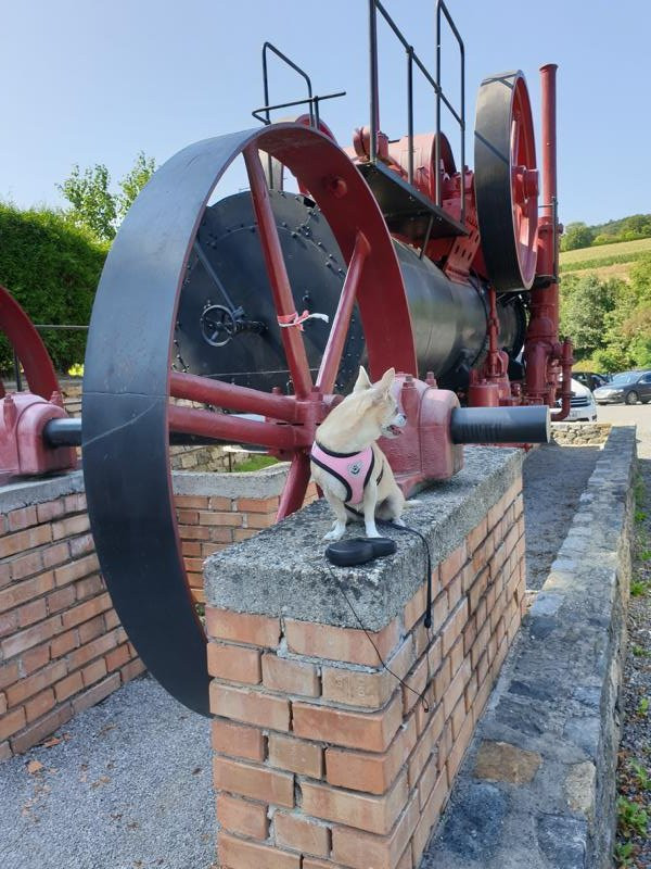 Europaschloss Leiben-Leiben必去景点