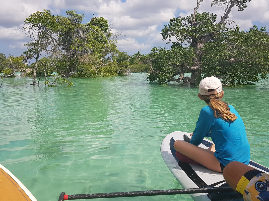 Nemberala Beach Resort主图