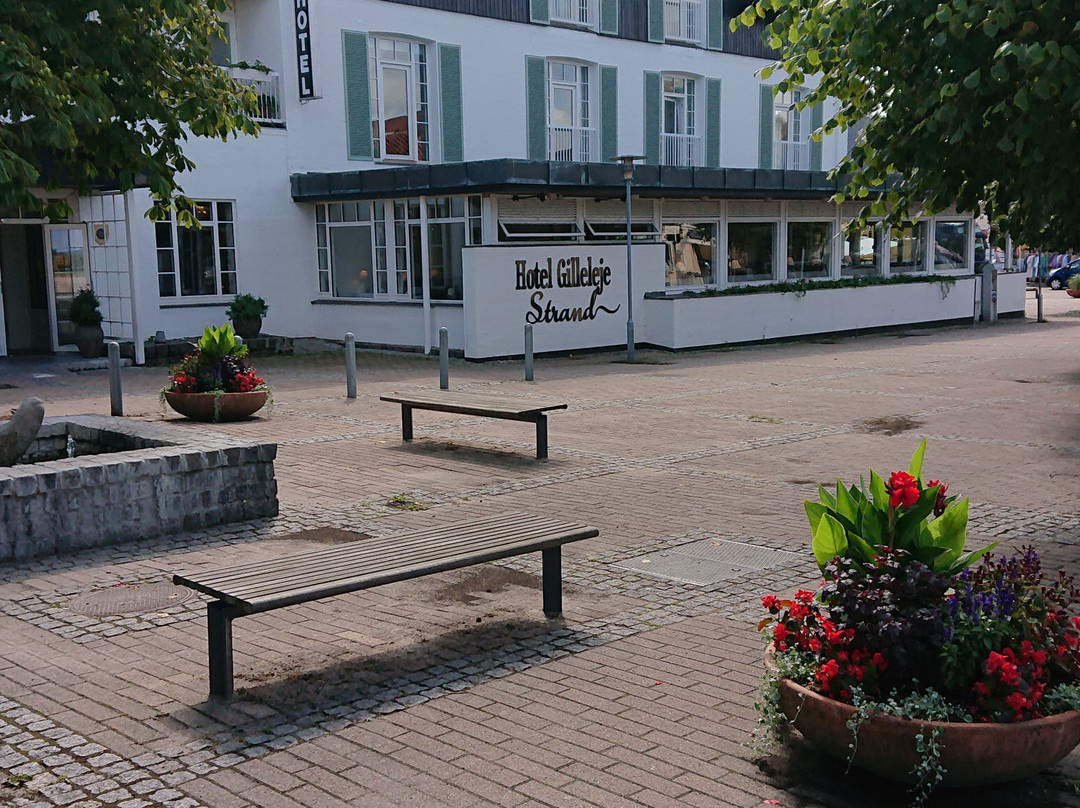 Hotel Gilleleje Strand主图