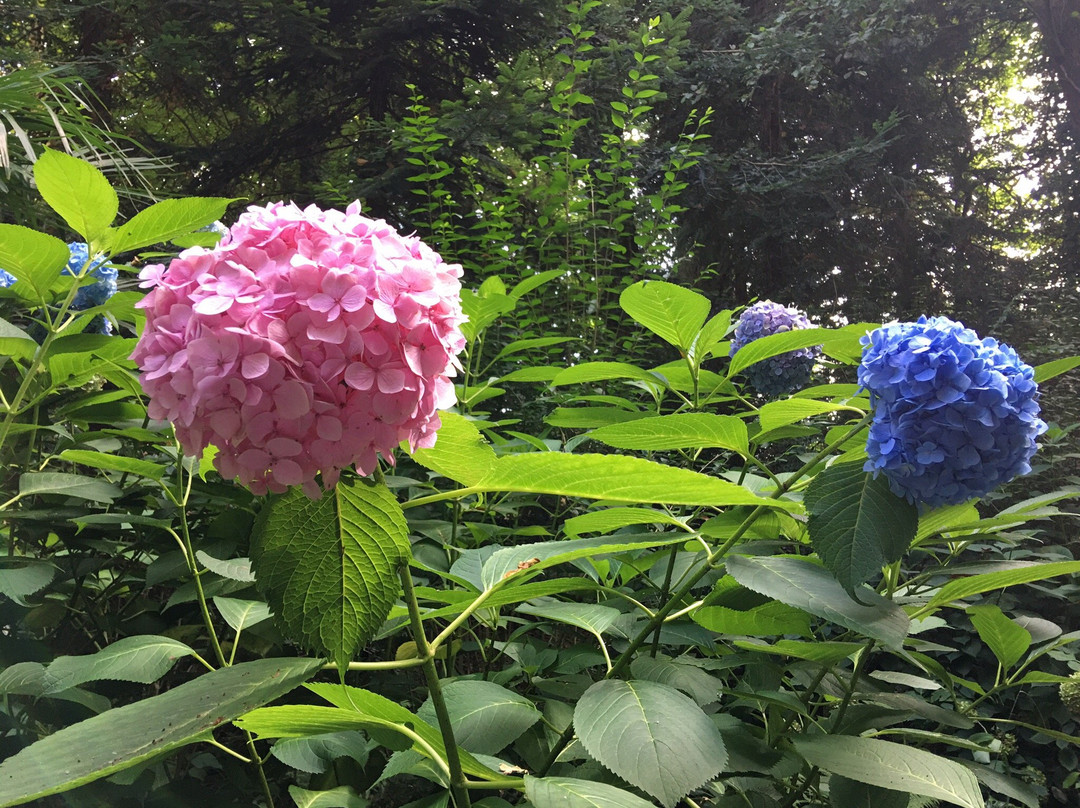 Parc du Sarrat-达克斯必去景点