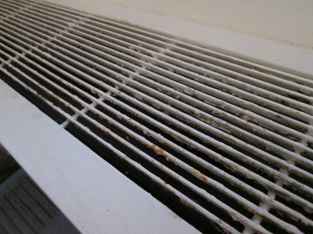 Comfort Inn Cobourg主图