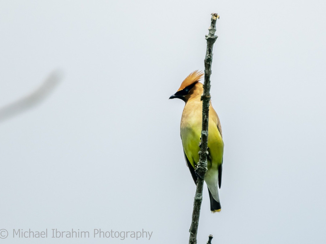 Springbank Park-伦敦必去景点