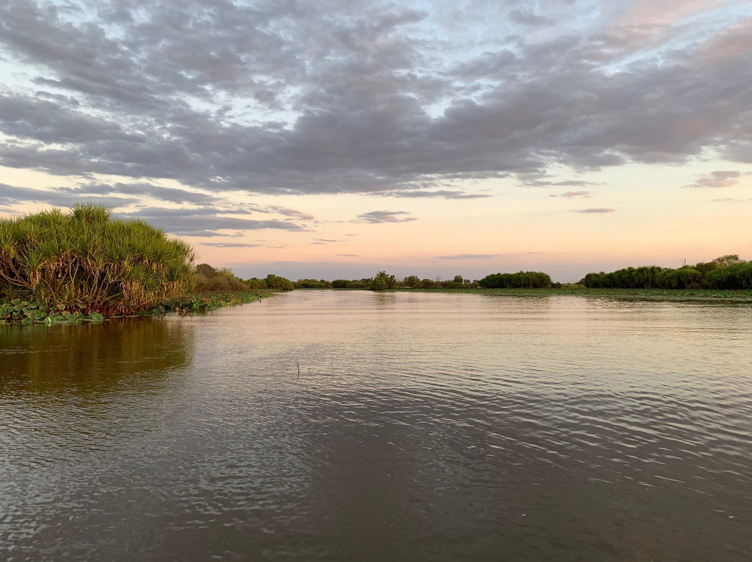 Wetland Cruises - Corroboree Billabong景点图片