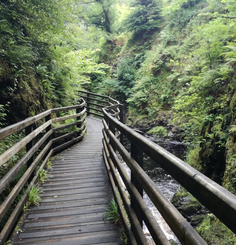 Glenariff Forest Park Caravan Park景点图片