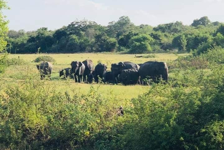 My Trip To Sri Lanka