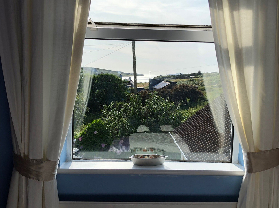 Ocean Villa B&B主图