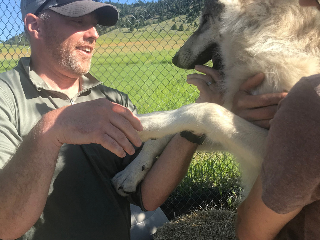 Howlers Inn Bed & Breakfast and Wolf Sanctuary主图