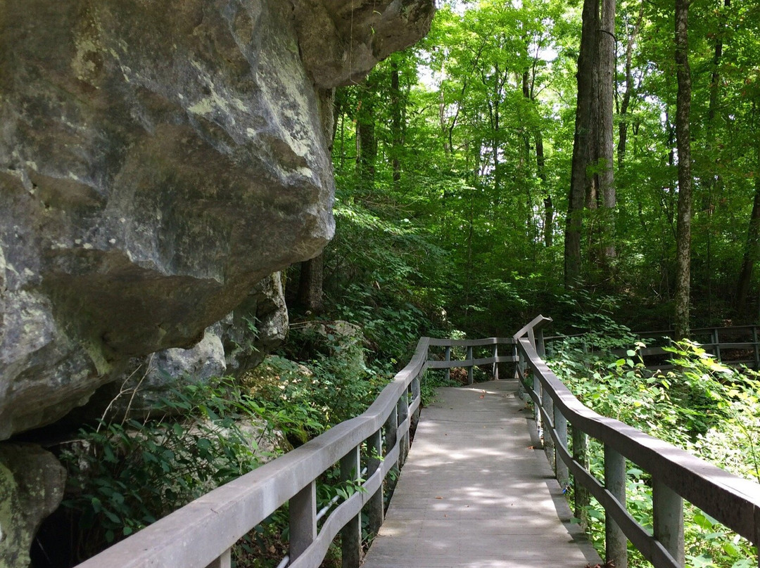 Russell Cave National Monument景点图片