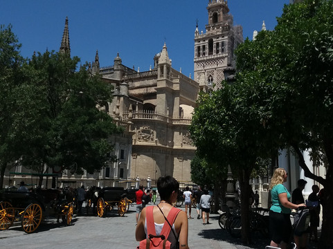 Bunny Bike Sevilla-塞维利亚必去景点