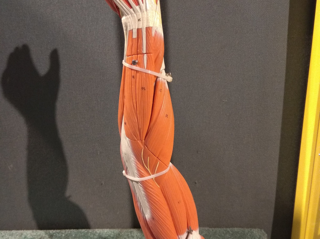 Sharjah Science Museum-沙迦必去景点