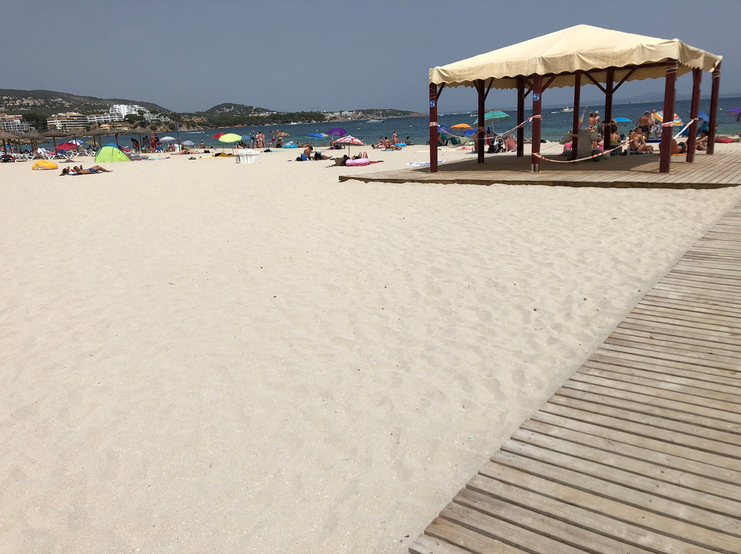 Playa Porto Novo-Palmanova必去景点