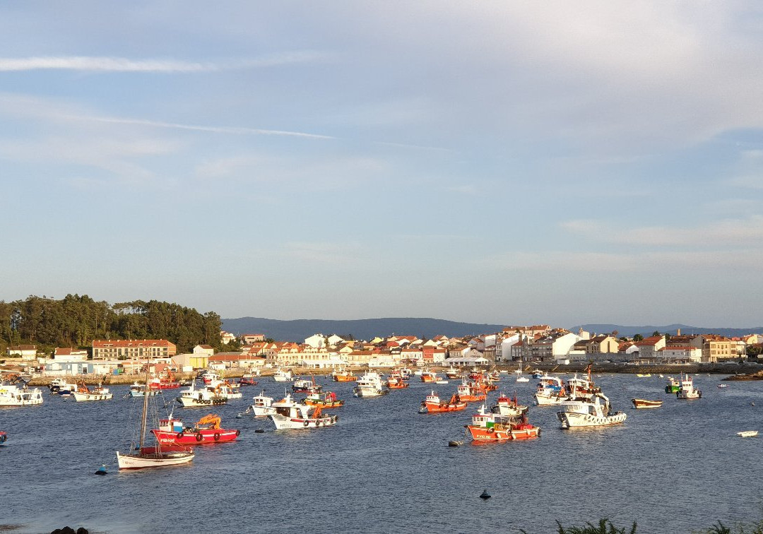 Porto do Xufre景点图片