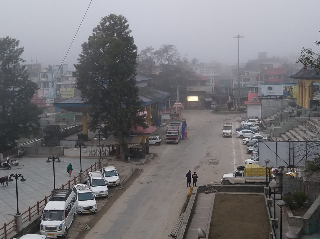 丽晶棕榈酒店主图