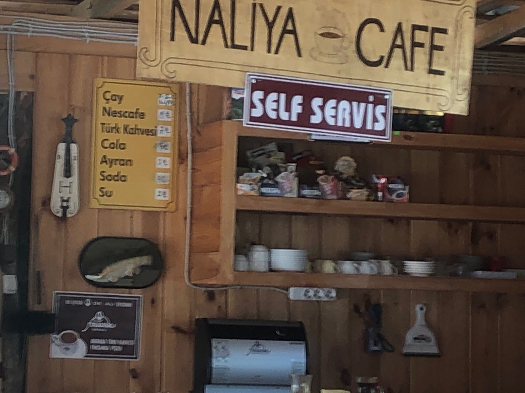 Naliya主图