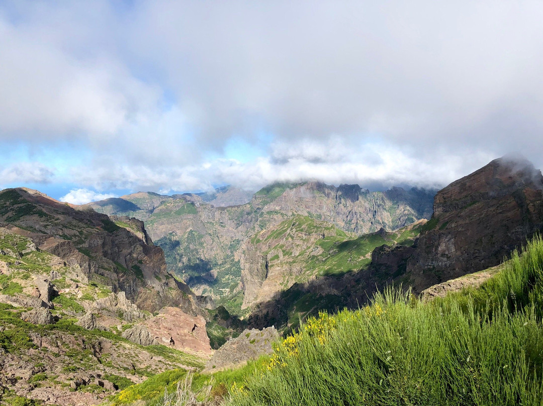 Madeira Explorers景点图片