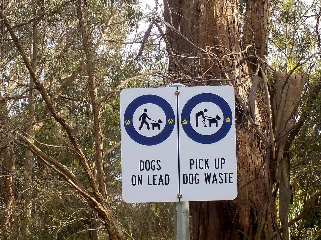 Mullum Mullum Creek Trail景点图片