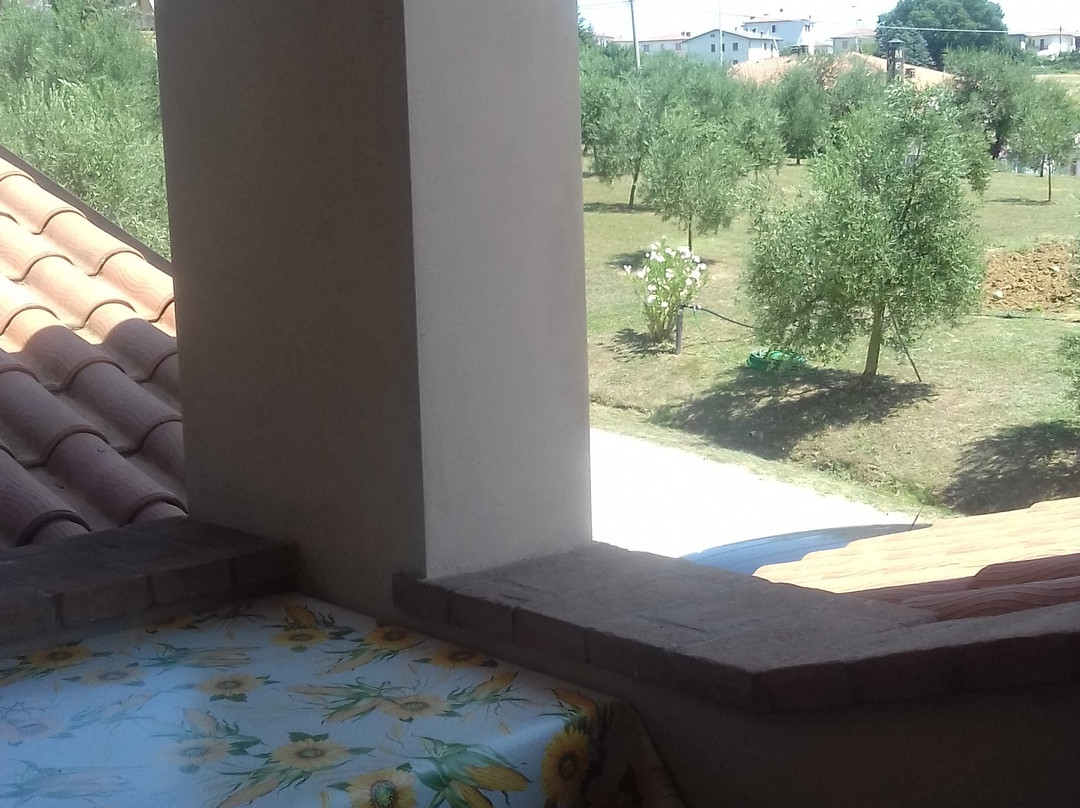 Agriturismo Val Della Pieve主图