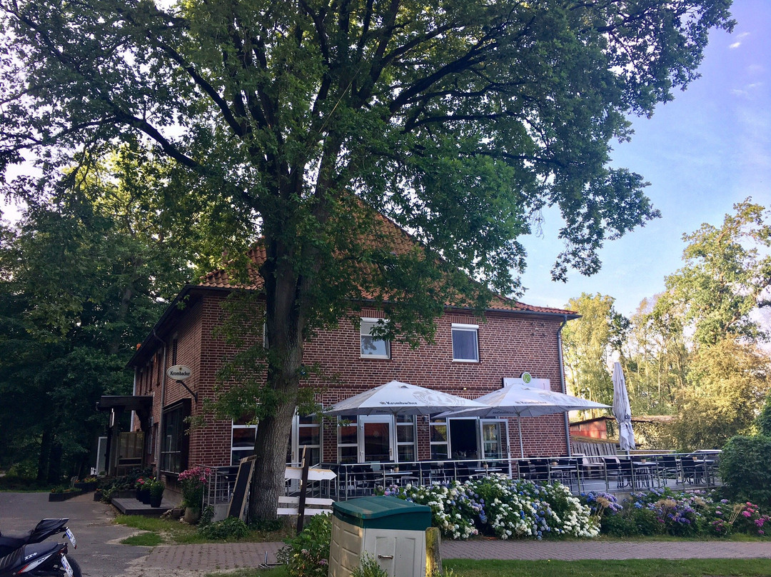 Altenmedingen旅游攻略图片