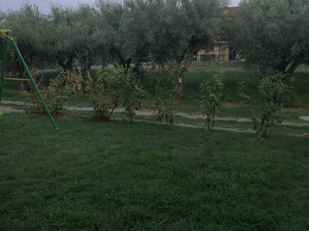 A Casa Della Nonna主图