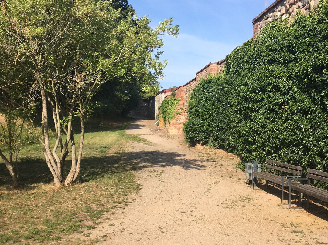 Burghotel Bad Belzig主图