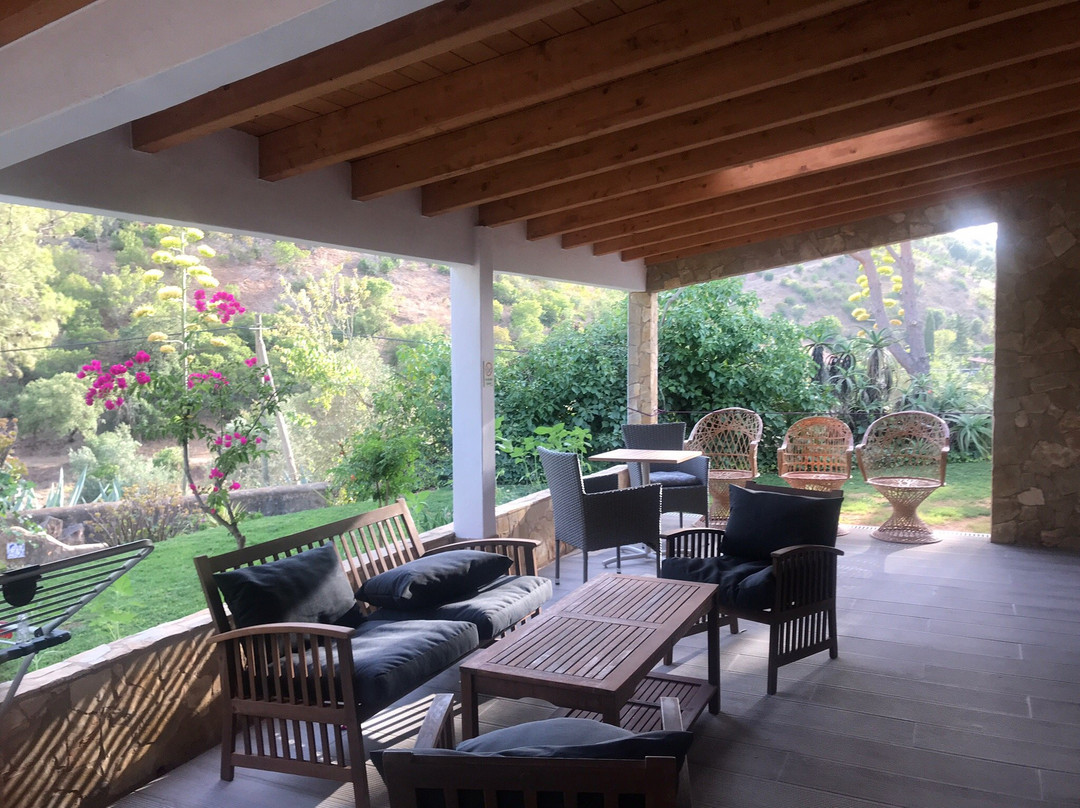 Casa do Palmeiral主图