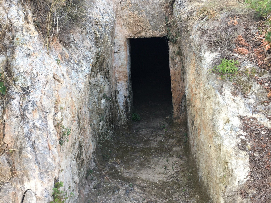 Aidonia旅游攻略图片