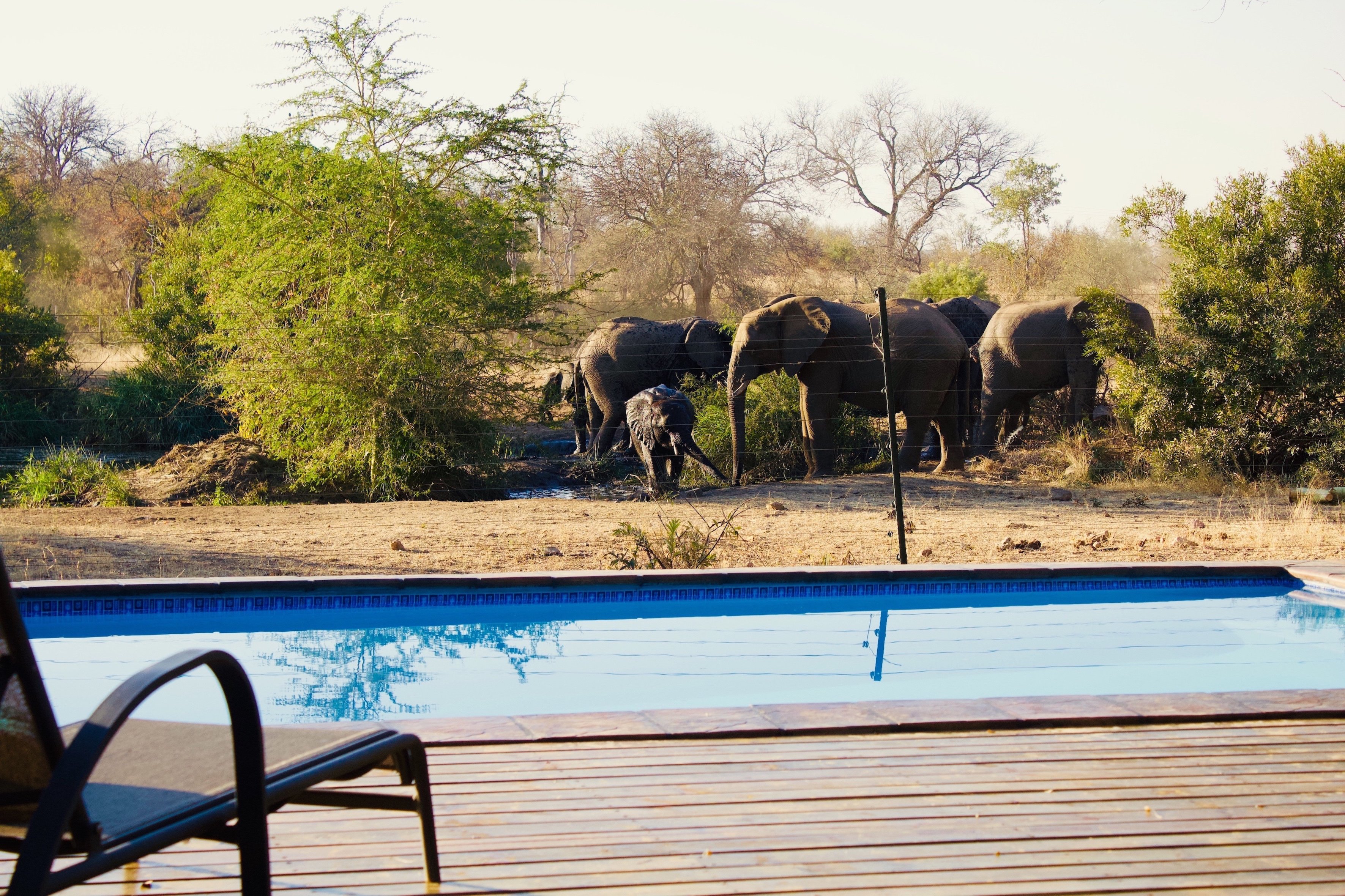 Masodini Private Game Lodge-官方