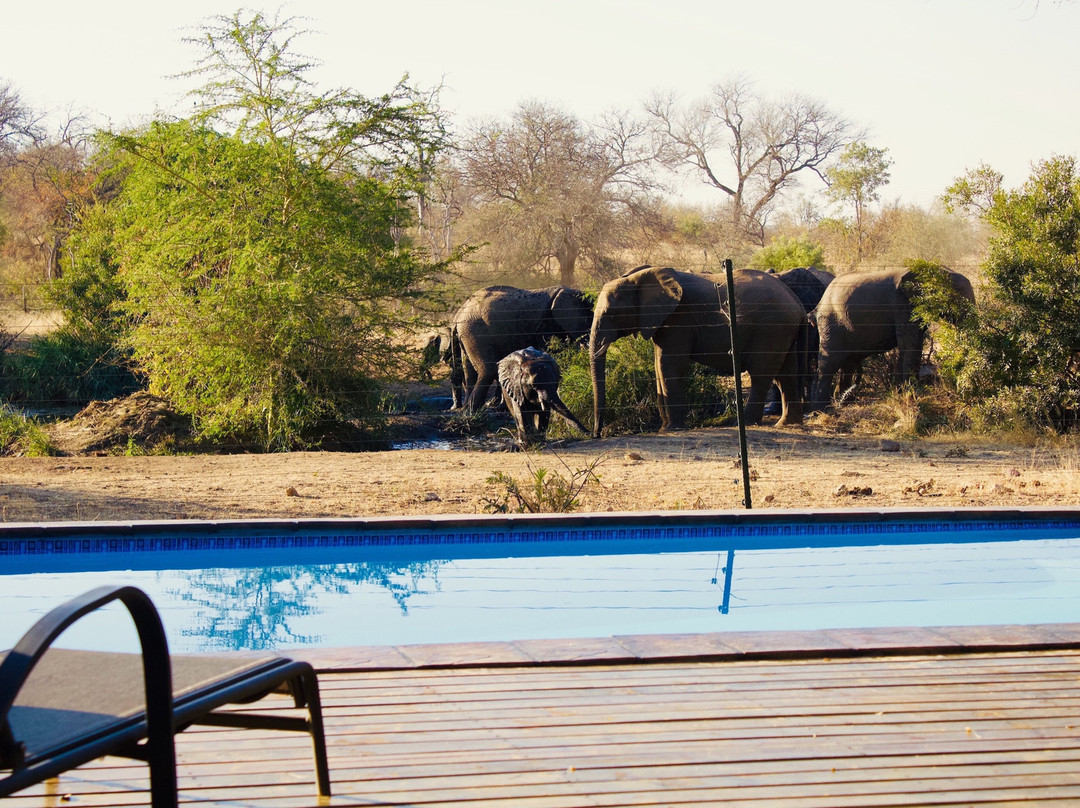 Mica酒店住宿-Masodini Private Game Lodge