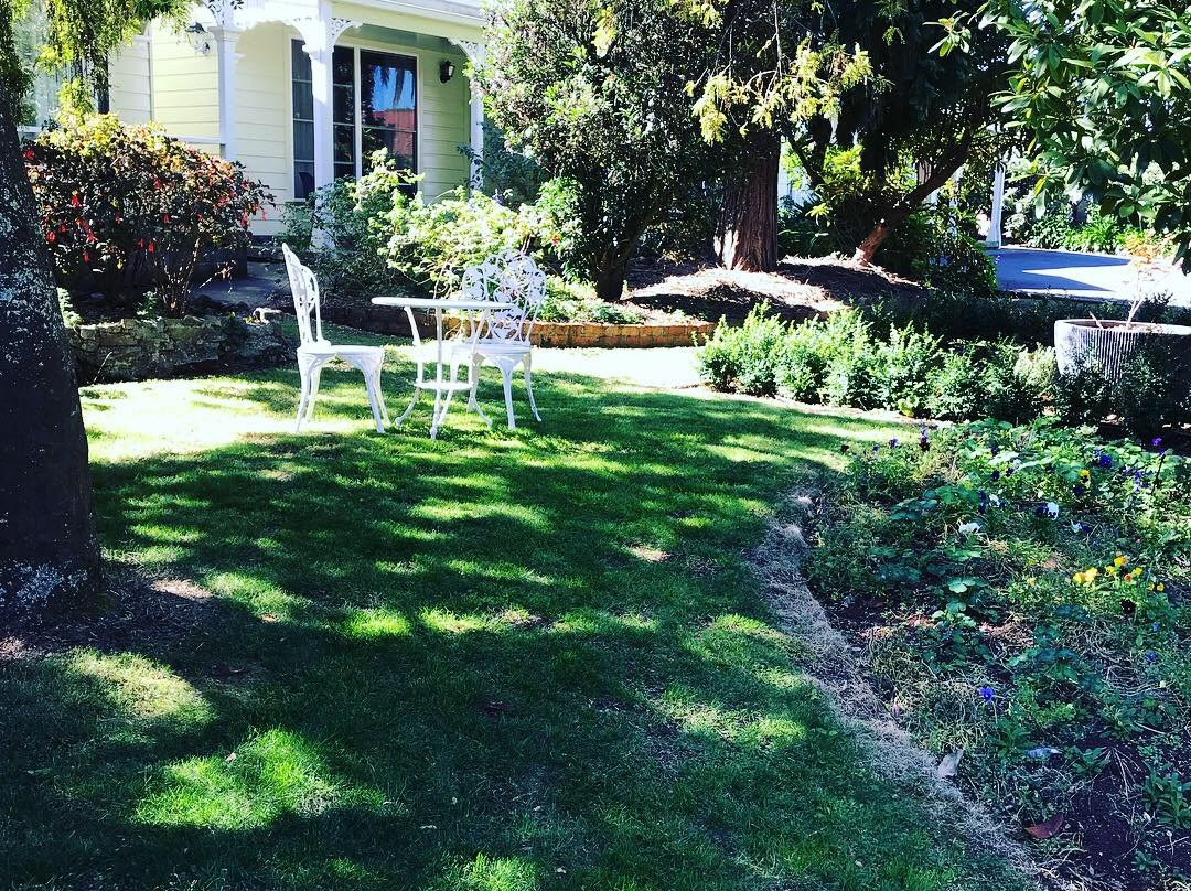 Anabel's of Scottsdale主图