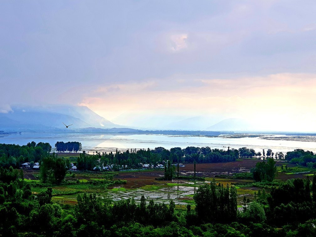 Wular Lake-斯利那加必去景点