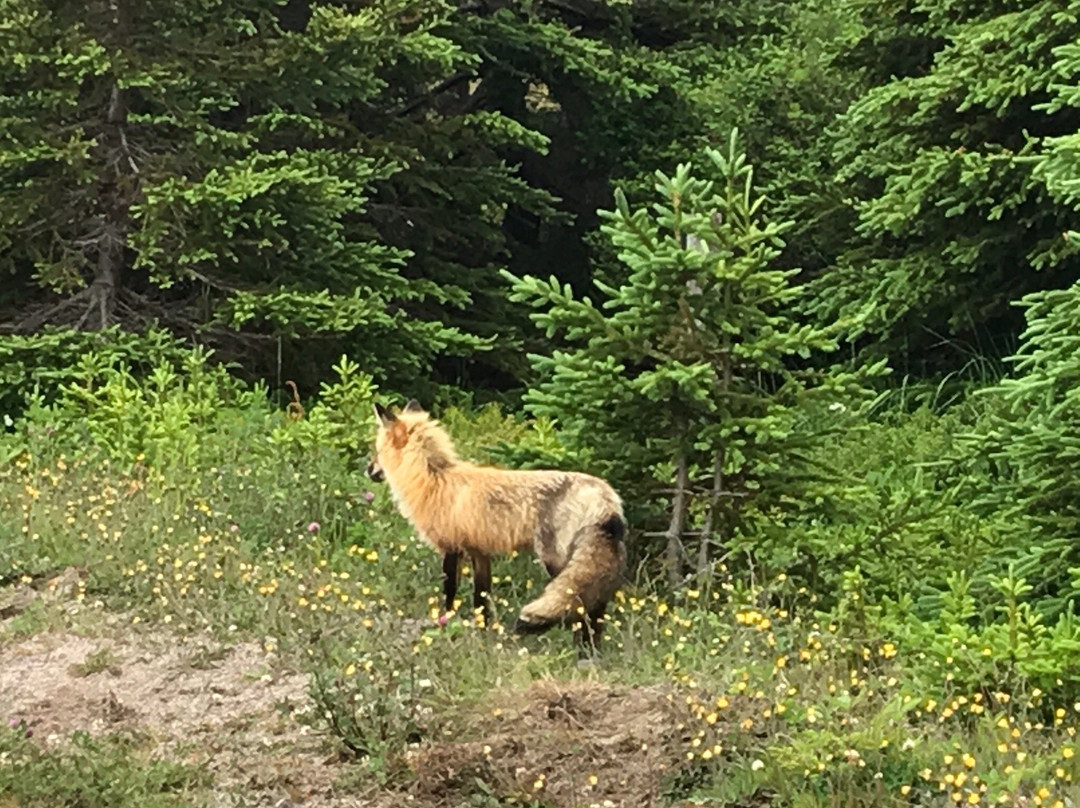 The Meems' Elliston B&B主图