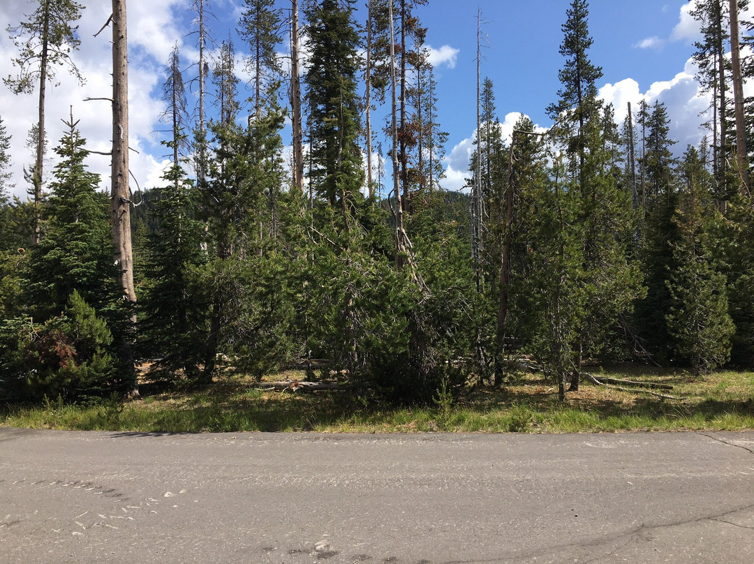 马萨玛乡村汽车旅馆主图