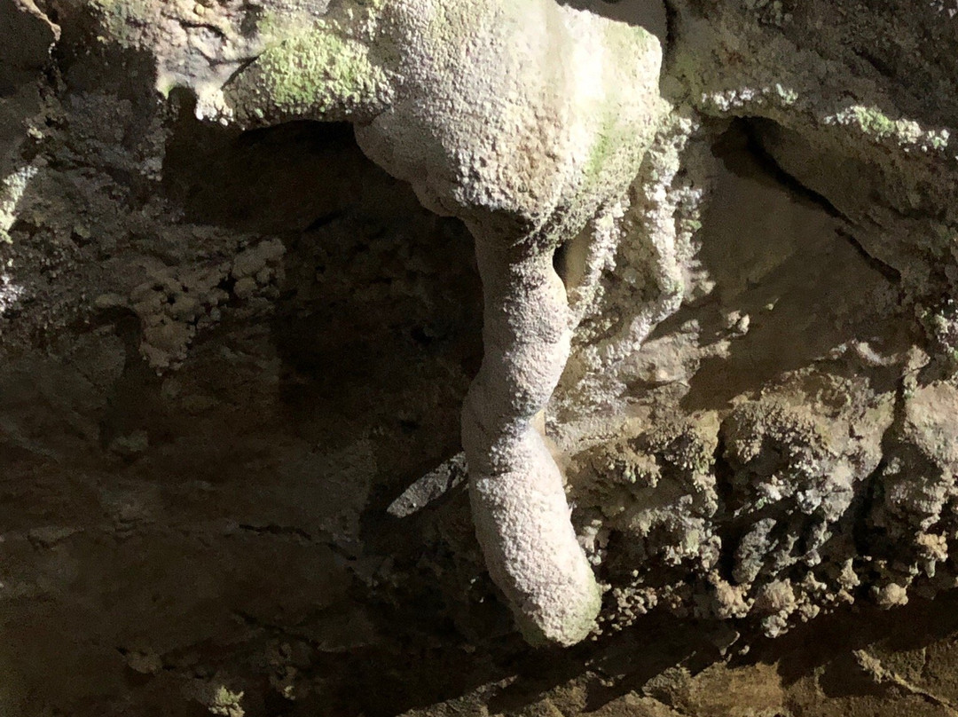 Oregon Caves National Monument and Preserve景点图片