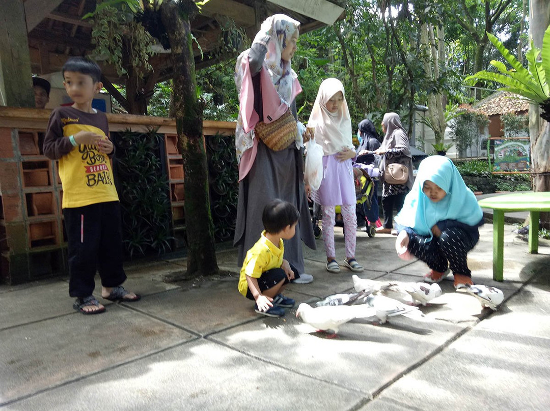 Bird And Bromelia Pavilion-连旺必去景点