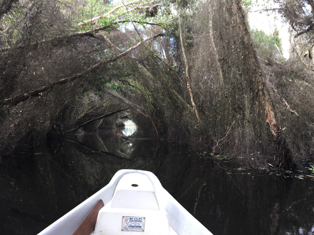 Lang Noi Tan Lap-Long An Province必去景点