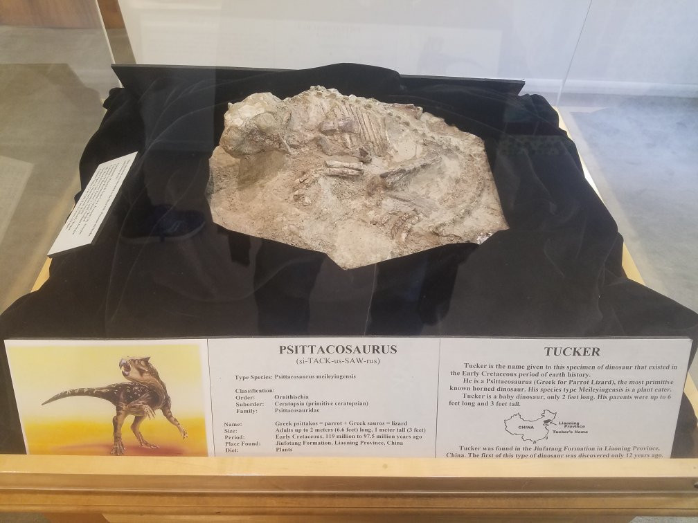 Rice NW Museum of Rocks and Minerals-希尔斯伯勒必去景点