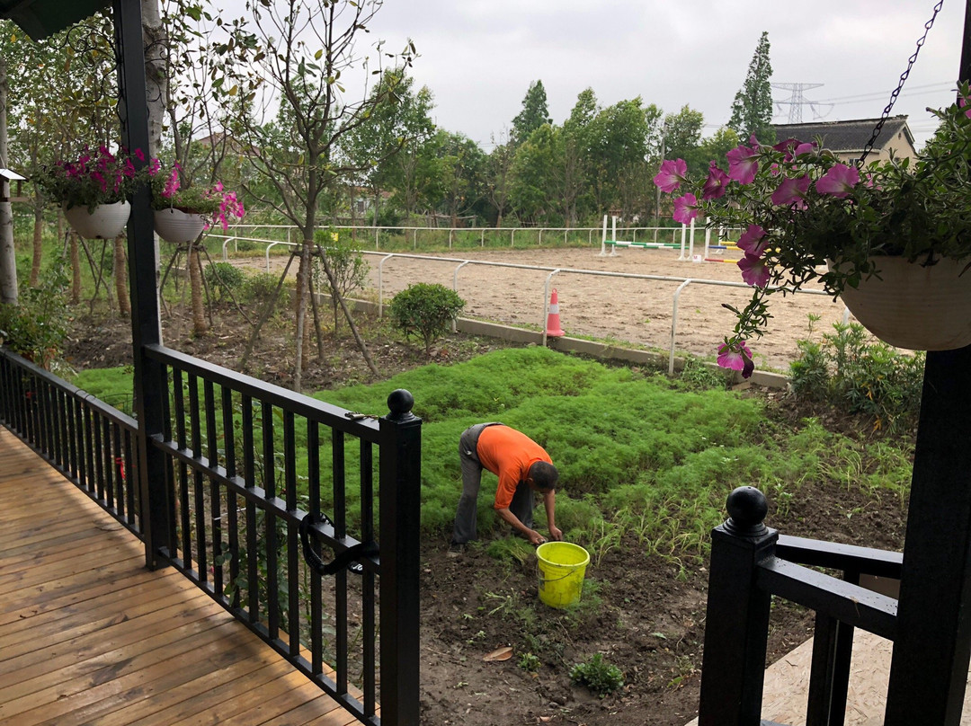 西芦园-太仓市必去景点