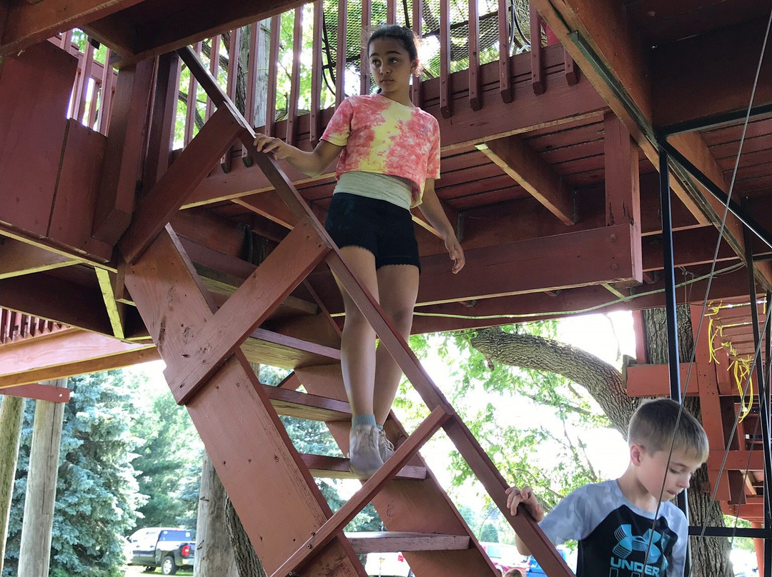 Tree Creations in Geneseo-Geneseo必去景点