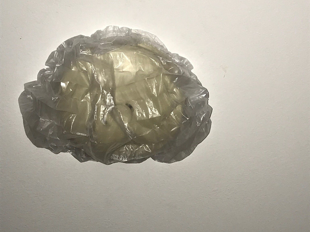 最佳西方戈斯福德汽车旅馆主图