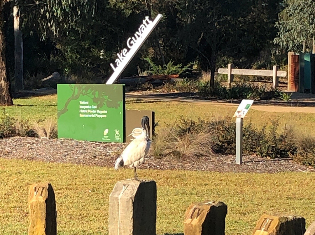 Lake Guyatt-塞尔必去景点