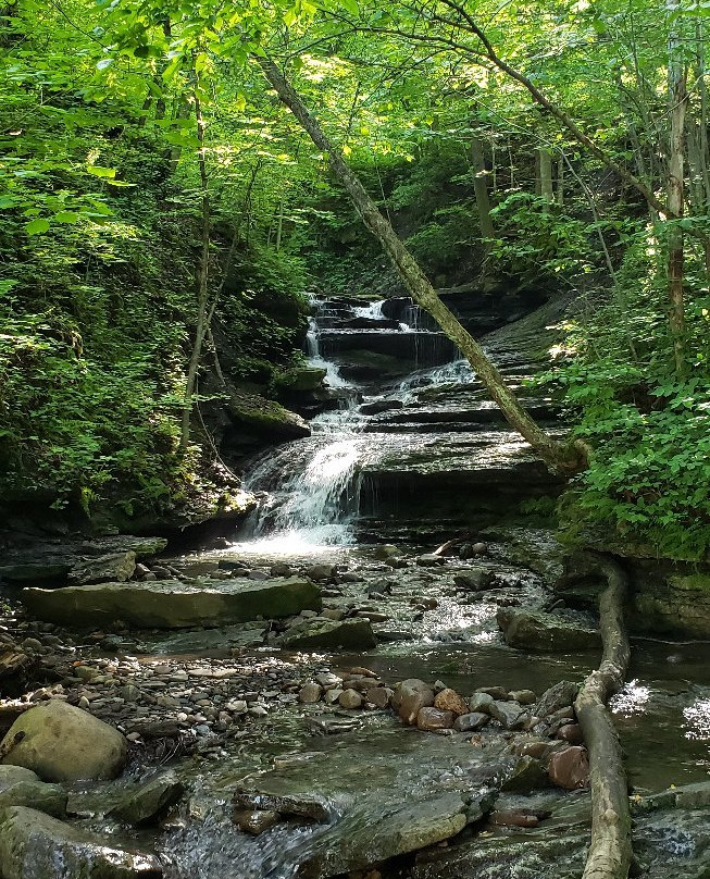 Pixley Falls State Park景点图片