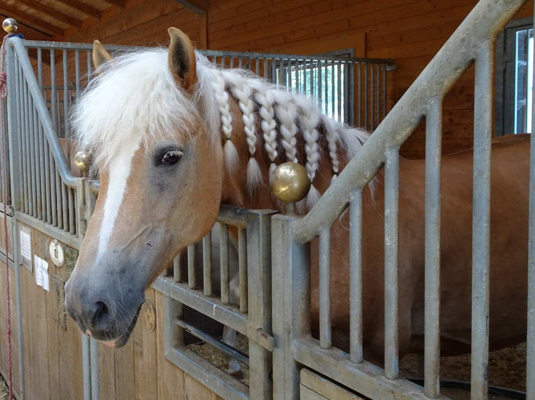 Hotel Restauran Hauserwirt主图