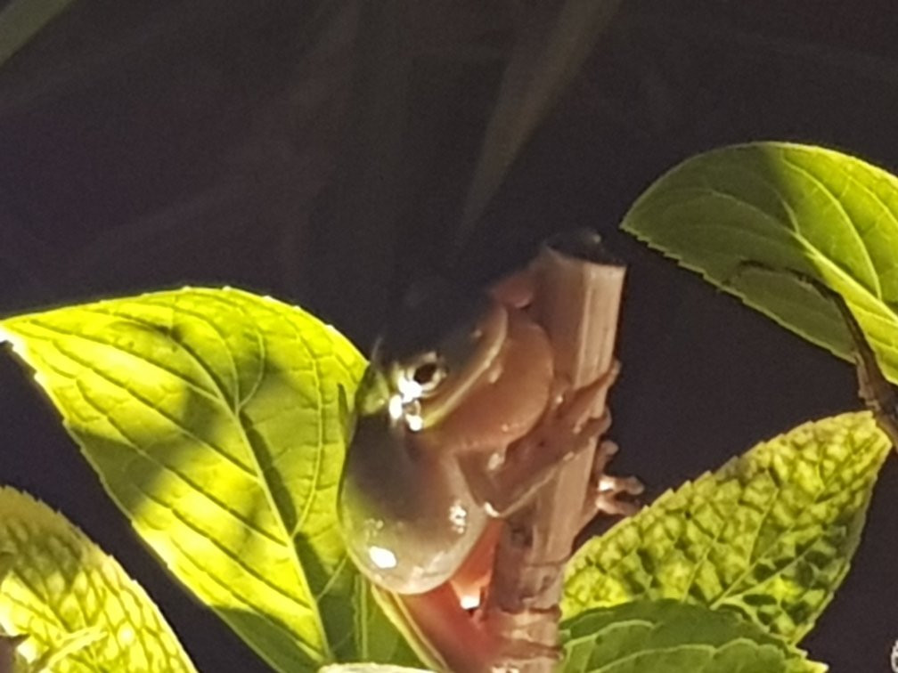 Casa de los Bates主图