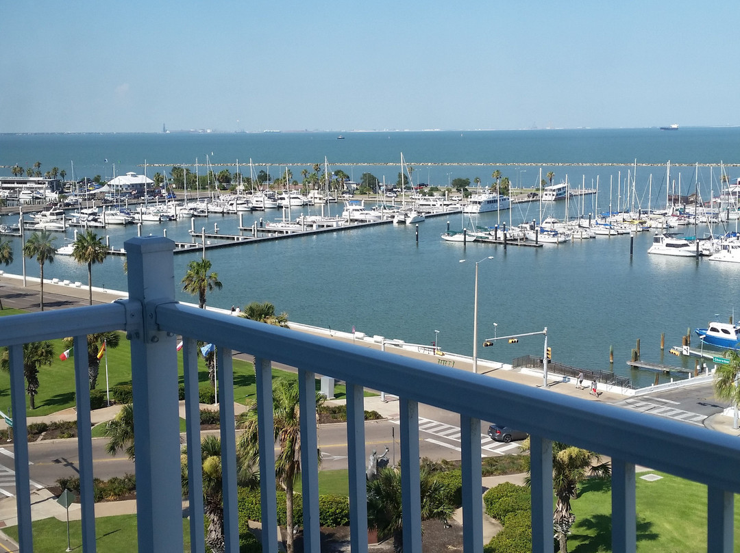 Best Western Corpus Christi主图