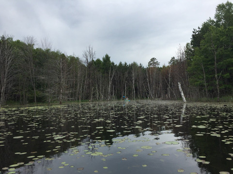 Pillsbury State Forest-Pillager必去景点