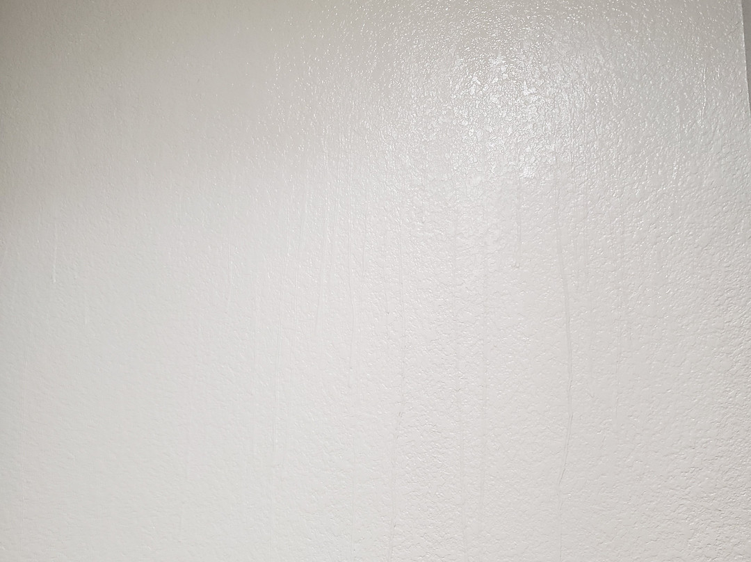 Best Western Plus Bay City Inn & Suites主图